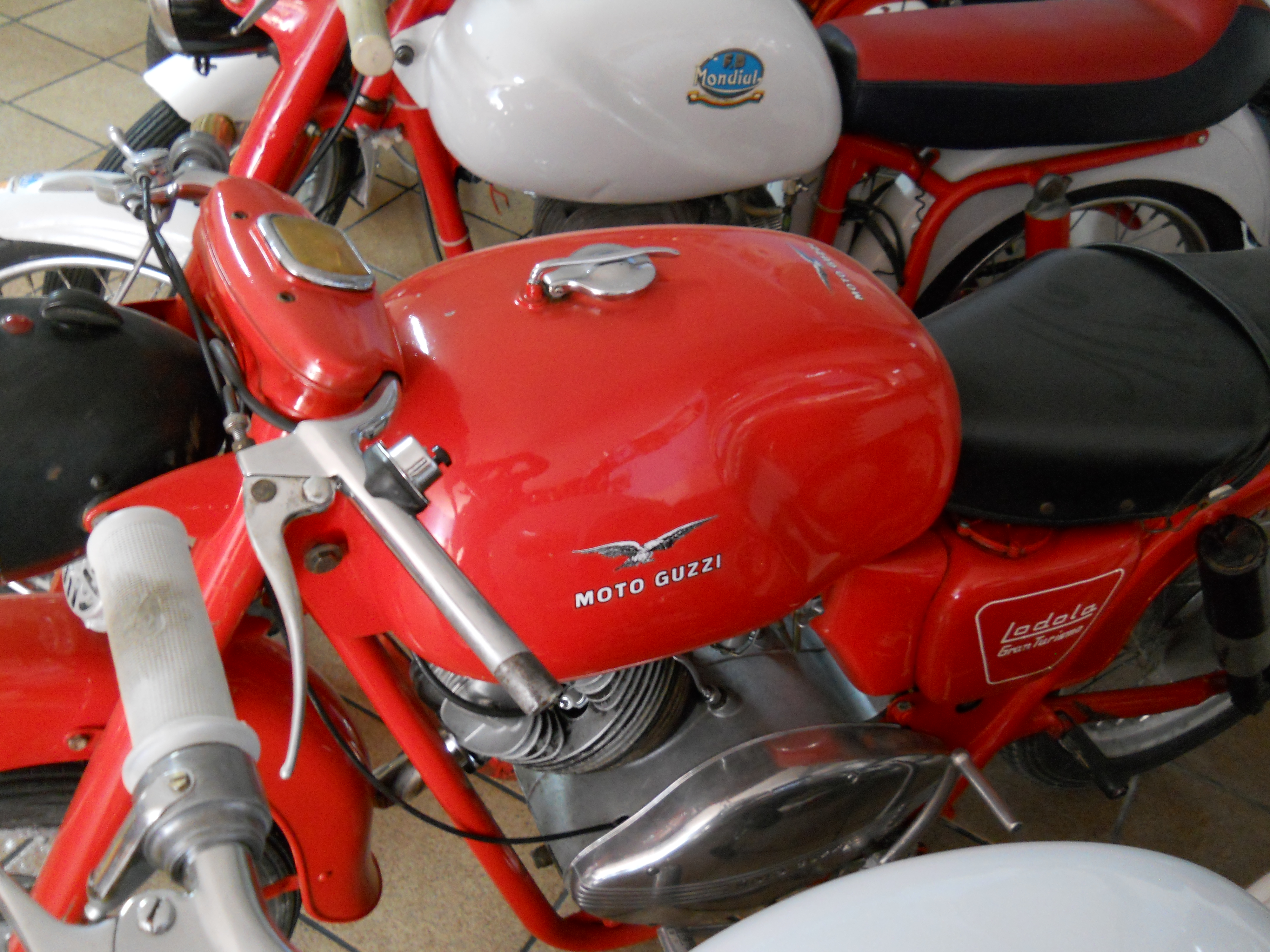 DSCN0835.JPG